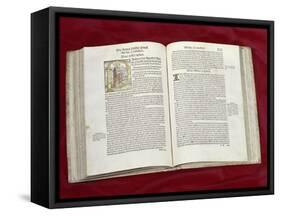 Martin Luther Bible: St. Luke's Gospel-null-Framed Stretched Canvas