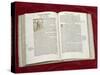 Martin Luther Bible: St. Luke's Gospel-null-Stretched Canvas