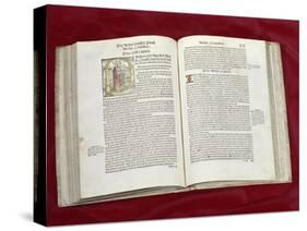 Martin Luther Bible: St. Luke's Gospel-null-Stretched Canvas