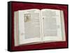 Martin Luther Bible: St. Luke's Gospel-null-Framed Stretched Canvas