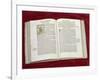 Martin Luther Bible: St. Luke's Gospel-null-Framed Giclee Print