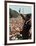 Martin Luther King Jr.-Associated Press-Framed Photographic Print