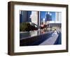 Martin Luther King Memorial Pool, Museum of Modern Art, San Francisco, California, USA-William Sutton-Framed Photographic Print