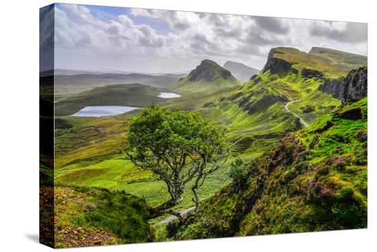 Stretched Canvas Print, , large