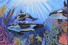 Killer Whales-Martin Nasim-Giclee Print