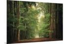 Wood Mount