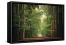 Canvas Black