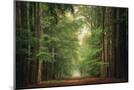 Wood Mount