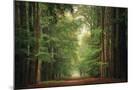 Wood Mount