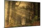 Wood Mount