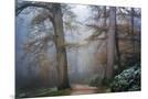 Wood Mount
