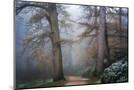 Wood Mount