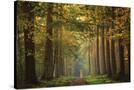 Stretched Canvas