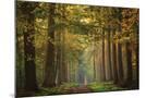 Wood Mount
