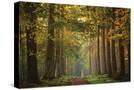 Stretched Canvas