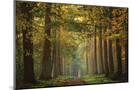 Wood Mount