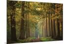 Wood Mount