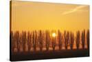 Stretched Canvas