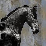 Black Stallion-Martin Rose-Art Print