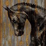 Horse I-Martin Rose-Art Print