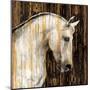 Wood Mount