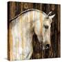 Stretched Canvas