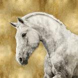 White Stallion on Gold-Martin Rose-Art Print
