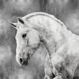 Horse I-Martin Rose-Art Print