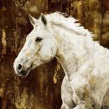 Horse I-Martin Rose-Art Print