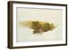 Martin's Hill, Dockwigg, C.1862-Alfred William Hunt-Framed Giclee Print