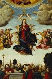 The Assumption of the Virgin-Martin Schaffner (Circle of)-Stretched Canvas