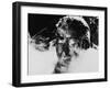 Martin Sheen, Apocalypse Now, 1979-null-Framed Photographic Print