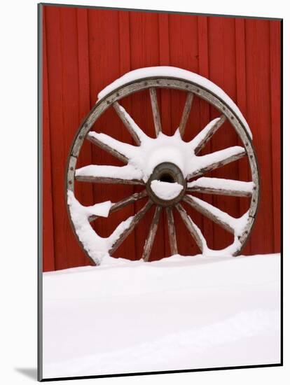 Martin Stables, Wheel Detail, Banff, Alberta-Michele Westmorland-Mounted Photographic Print