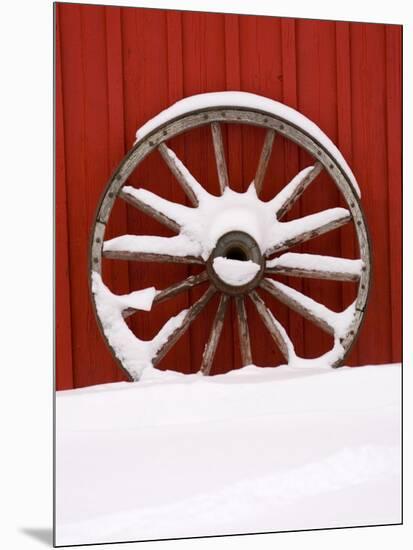 Martin Stables, Wheel Detail, Banff, Alberta-Michele Westmorland-Mounted Photographic Print