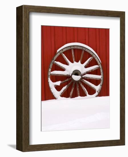 Martin Stables, Wheel Detail, Banff, Alberta-Michele Westmorland-Framed Photographic Print