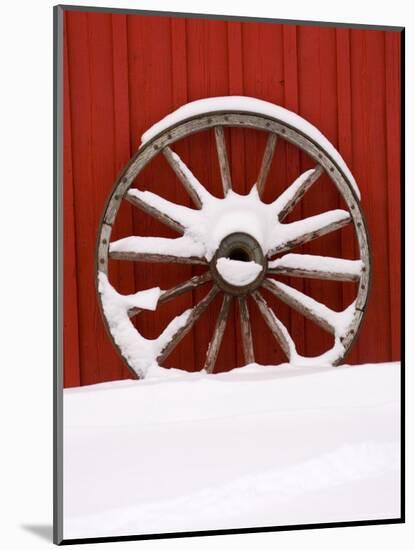 Martin Stables, Wheel Detail, Banff, Alberta-Michele Westmorland-Mounted Photographic Print