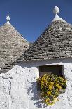 Street of Of Traditional Trullos (Trulli) in Alberobello-Martin-Photographic Print