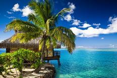 Tropical Villa and Palm Tree next to Amazing Blue Lagoon-Martin Valigursky-Photographic Print