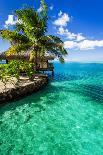 Water Villas over Tropical Coral Reef-Martin Valigursky-Photographic Print