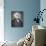 Martin Van Buren-American School-Giclee Print displayed on a wall