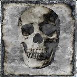 Skull I-Martin Wagner-Stretched Canvas