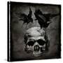 Stretched Canvas