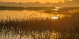 Dawn on the River Alde-Martin Wilcox-Premium Photographic Print