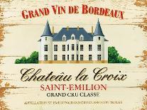 Chateau Bordeaux-Martin Wiscombe-Art Print