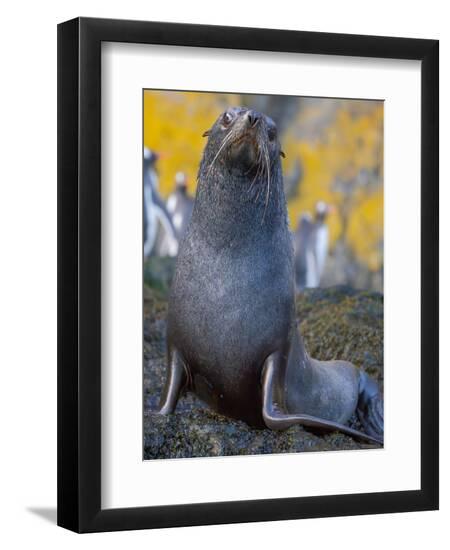 Premium Photographic Print, , large