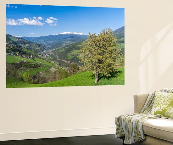 Giant Art Print, , large