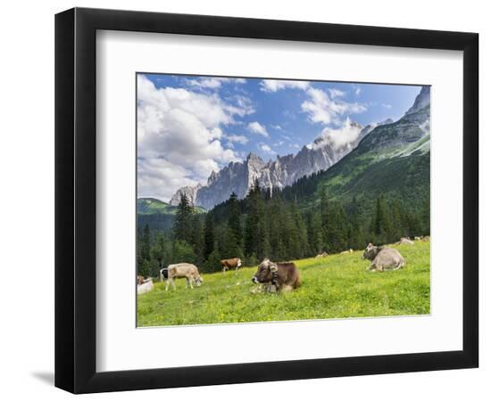 Premium Photographic Print, , large