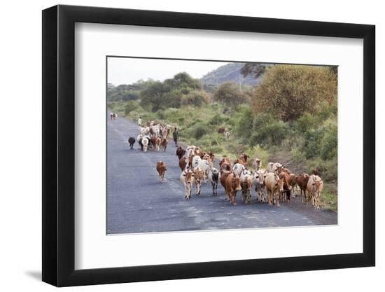 Premium Photographic Print, , large