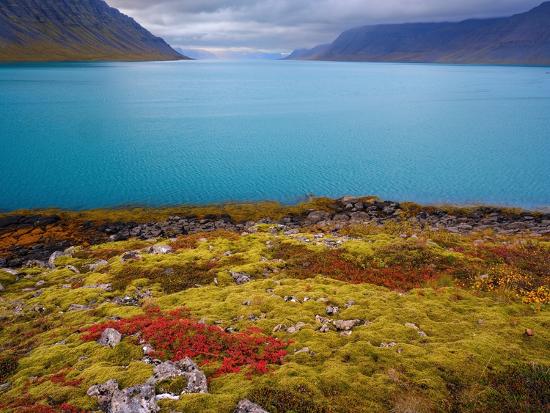 Premium Photographic Print, , large