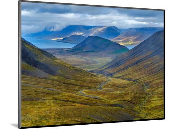 Photographic Print, , large